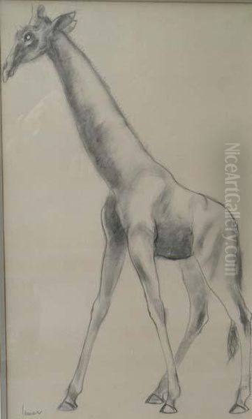 Girafe - view 1