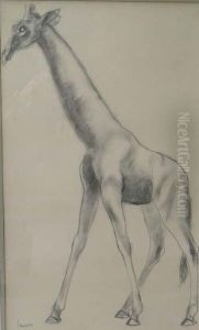 Girafe Girafe