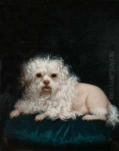 Petit Chien De Lion by Leontine Lemee