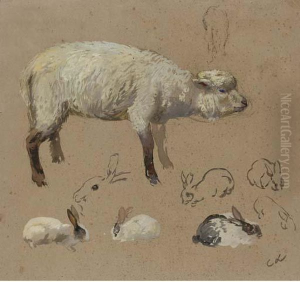 A Lamb In Profile To The Right And Seven Studies Of Rabbits - view 1