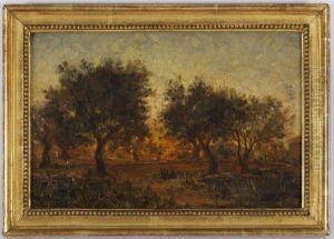 Paysage Au Soleil Couchant