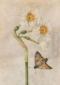 Narciso Bianco E Una Falena by Jacques-Antoine-Marie Lemoine