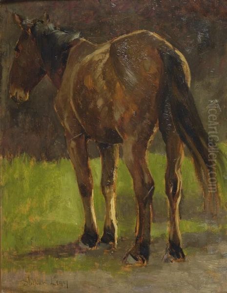 Cavallo - view 1