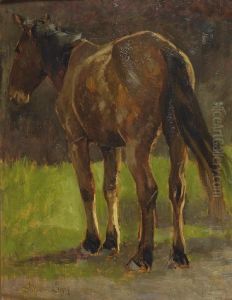 Cavallo by Arthur Lemon