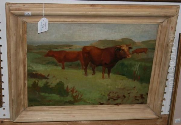 Cattle Grazing Within A Coastal Landscape - view 1