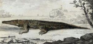 Study Of A Crocodile On The Shore, A Castle Beyond by Clement Lempriere