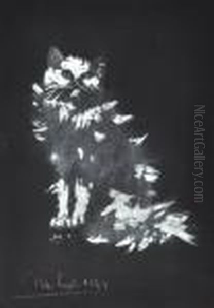 Gatto - view 1