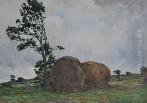 Hay Stacks