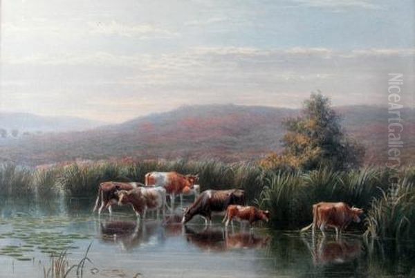 watering Cattle - view 1