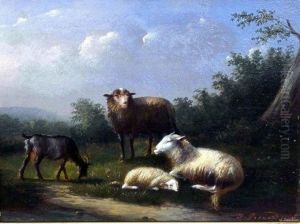 Weidende Schafe Und Ziege by Jules Leonard