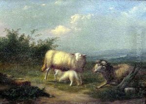 Schafe Vor Weiter Landschaft by Jules Leonard