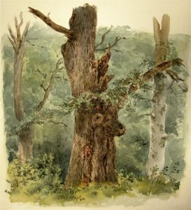 Waldlandschaft Mit Absterbendem Baum Waldlandschaft Mit Absterbendem Baum