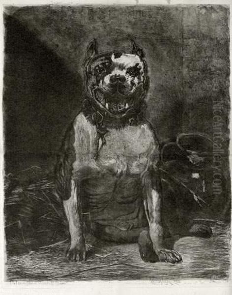 [chien De Face]. - view 1
