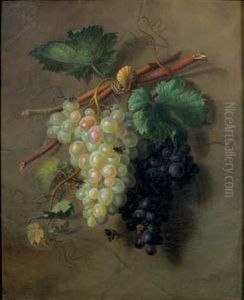 Nature Morte Aux Grappes De Raisins Blancs Et Noirs by Ange Louis Guillaume Lesourd De Beauregard