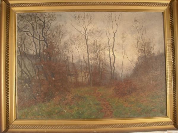 Sous-bois - view 1