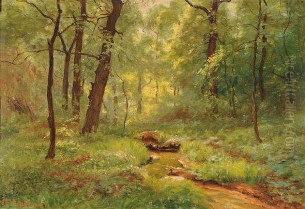 Sous-bois A Tassin (pres De Lyon) - view 1