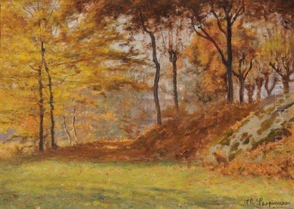 Sous-bois En Automne - view 1