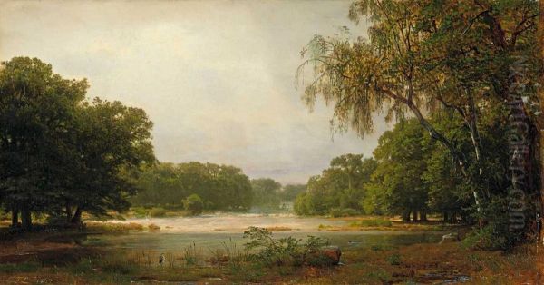 Bewaldete Landschaft Mitwasserteich - view 1