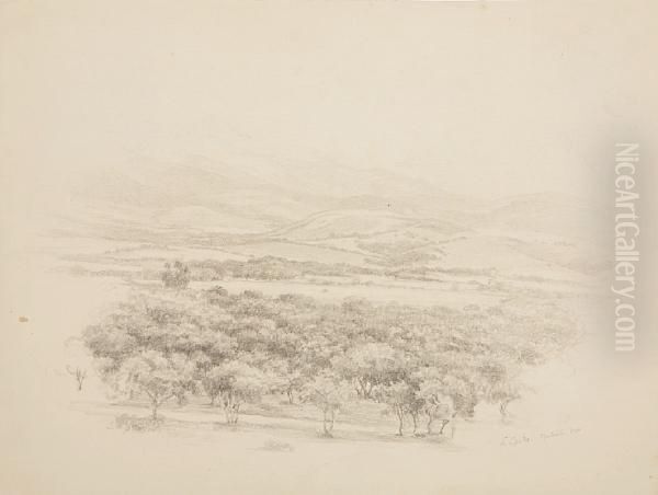 Untitled - view 1