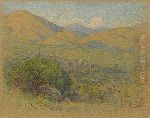 Alpine California; Oaks At Sunset - view 1