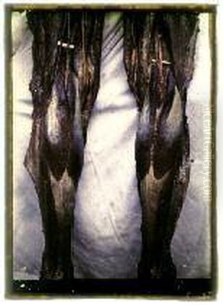 Jambes Ecorchees Paris - view 1