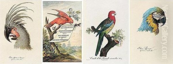 A Highly Unusual Set Of The Greatest Work On Parrots, With Each Plate Retouched After Birds In The Collection Of Professor Conrad Joseph Temminck, Director Of The Museum At Leyden, And Also Containing 13 Original Watercolour Studies Of Heads Of Parrots, I - view 1