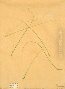 Composition by Fritz Levedag