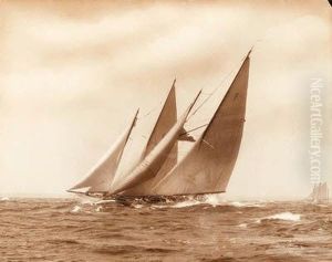 "c" Class Schooners Racing by Edwin Levick