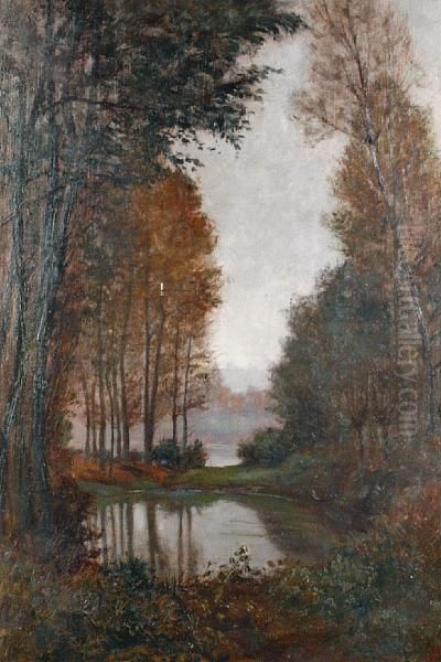 A Woodland Pool - view 1