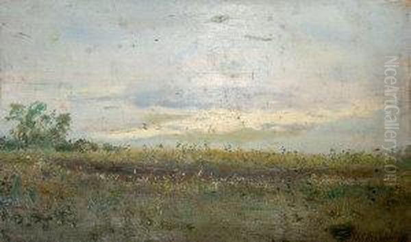 Spring Meadow - view 1