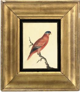 A 'red Lory' Parrot Perched On A Branch A 'red Lory' Parrot Perched On A Branch