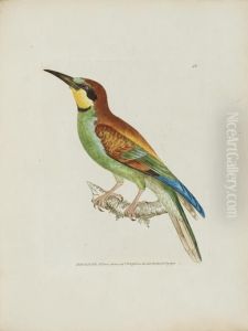 The Birds Of Great Britain, With Their Eggs, Accurately Figured
