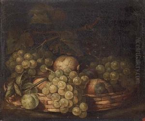 Peaches, Grapes And Greengages In A Basket by Charles James Lewis