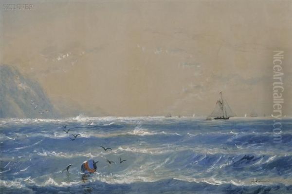 Sailboats Off The Coast - view 1
