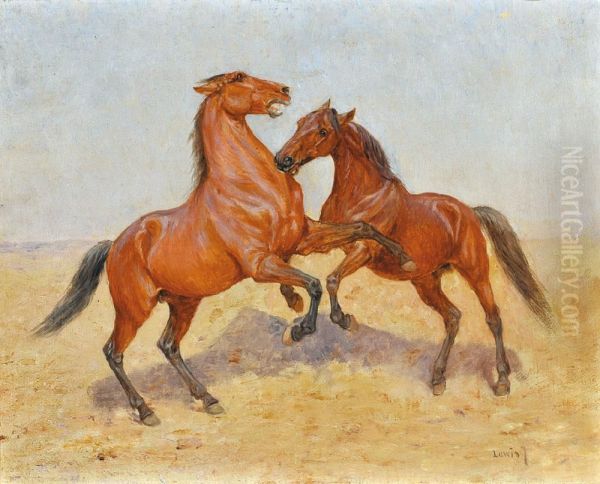 Combat D""""etalons Arabes - view 1