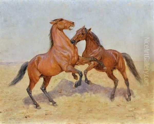 Combat D'etalons Arabes - view 1