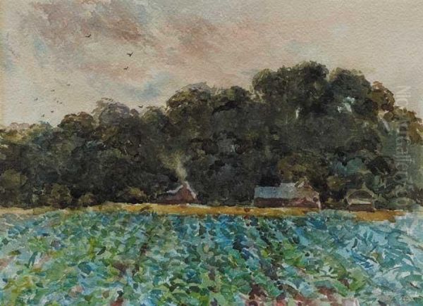 The Cabbage Field - view 1