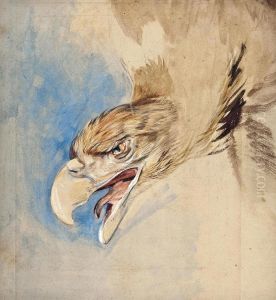 Study Of The Head Of An Eagle by John Frederick Lewis