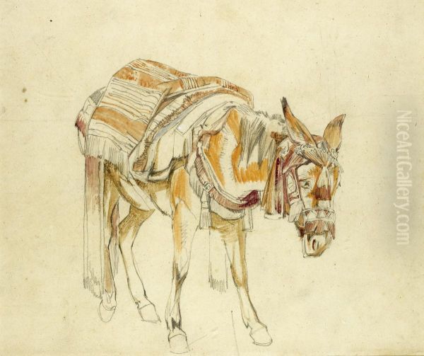 A Spanish Mule - view 1