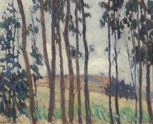 Lanky Eucalyptus by Phillips Frisbie Lewis