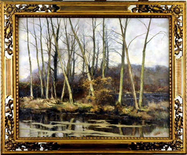 Etang Arbore - view 1