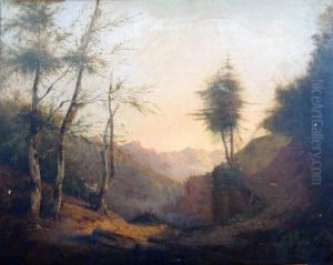 Le Bucheron Dans La Vallee