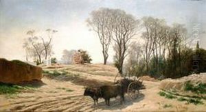 Bueyes by Agustin Lhardy Y Garrigues