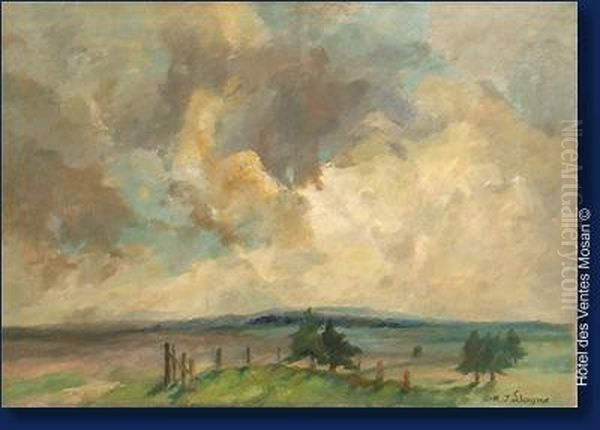 Ciel De Fagnes - view 1