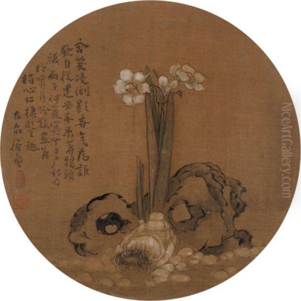 Narcissus - view 1