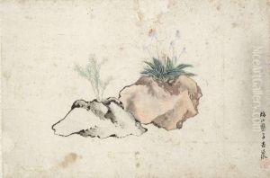 Flowers And Grass On Rocks. by Ju Lian