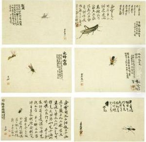 Insects by Qi Liangkun
