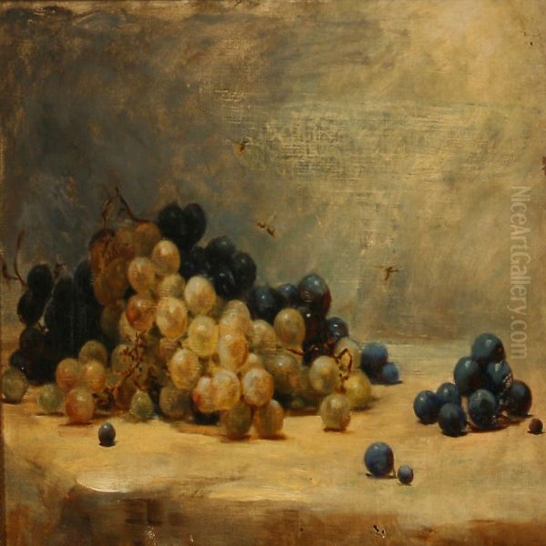 Still Life - view 1
