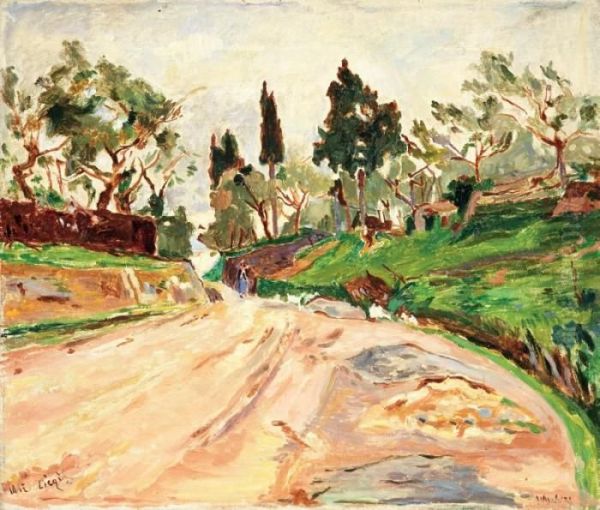 La Strada Di Montelupo - Signa - view 1