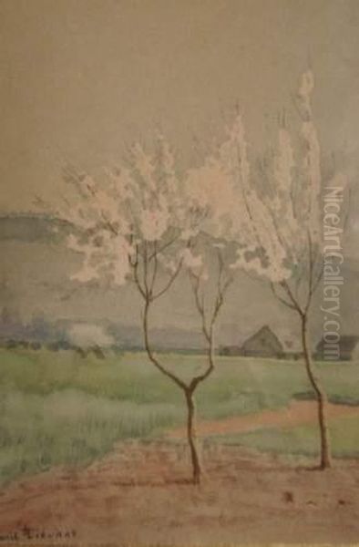 Arbres En Fleurs - view 1